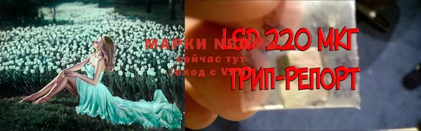 крисы Бородино