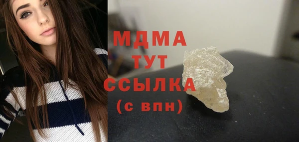 крисы Бородино