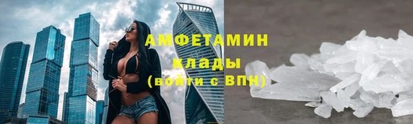 крисы Бородино