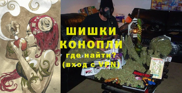 крисы Бородино