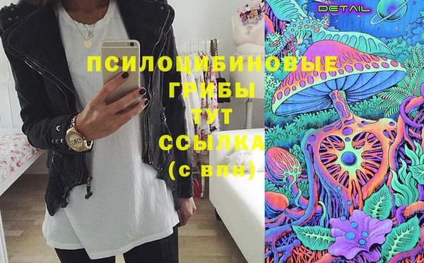 трава Верея
