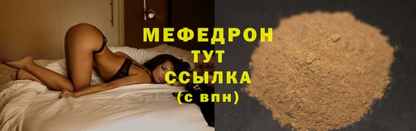 крисы Бородино