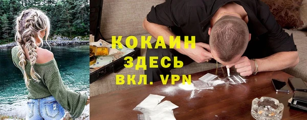 соль ск Верхний Тагил