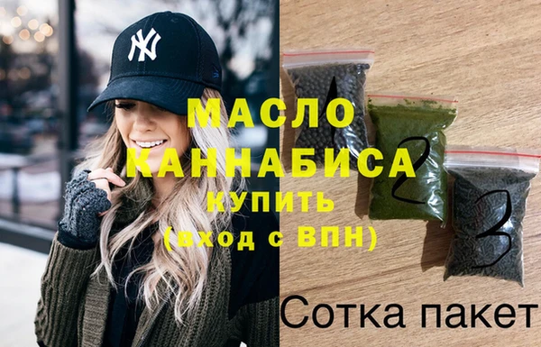 крисы Бородино