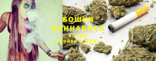 соль ск Верхний Тагил