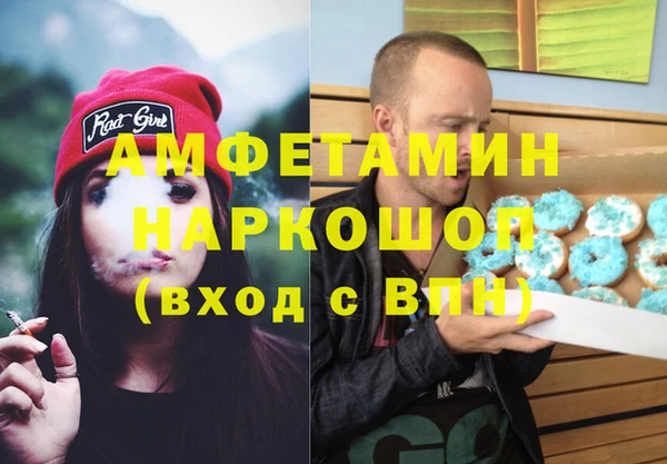 крисы Бородино